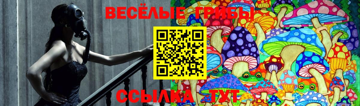 Сердобск  Галлюциногенные грибы GOLDEN TEACHER  наркота  Вход с VPN 