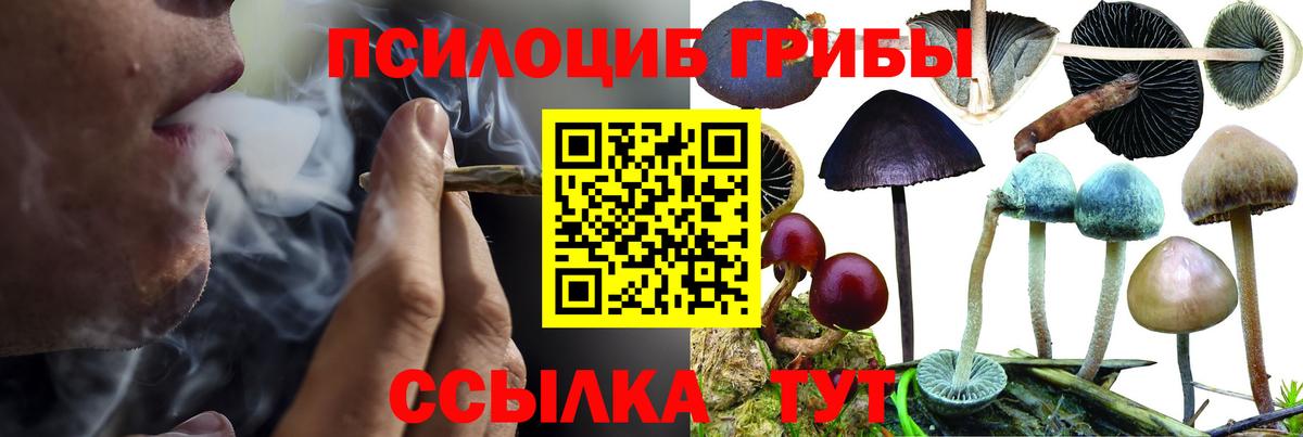 Галлюциногенные грибы MAGIC MUSHROOMS Сердобск